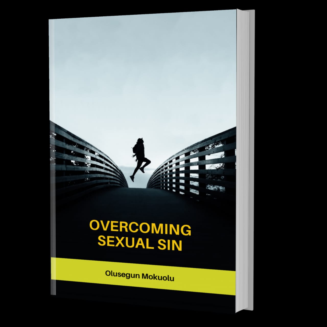 Overcoming Sexual Sin book cover